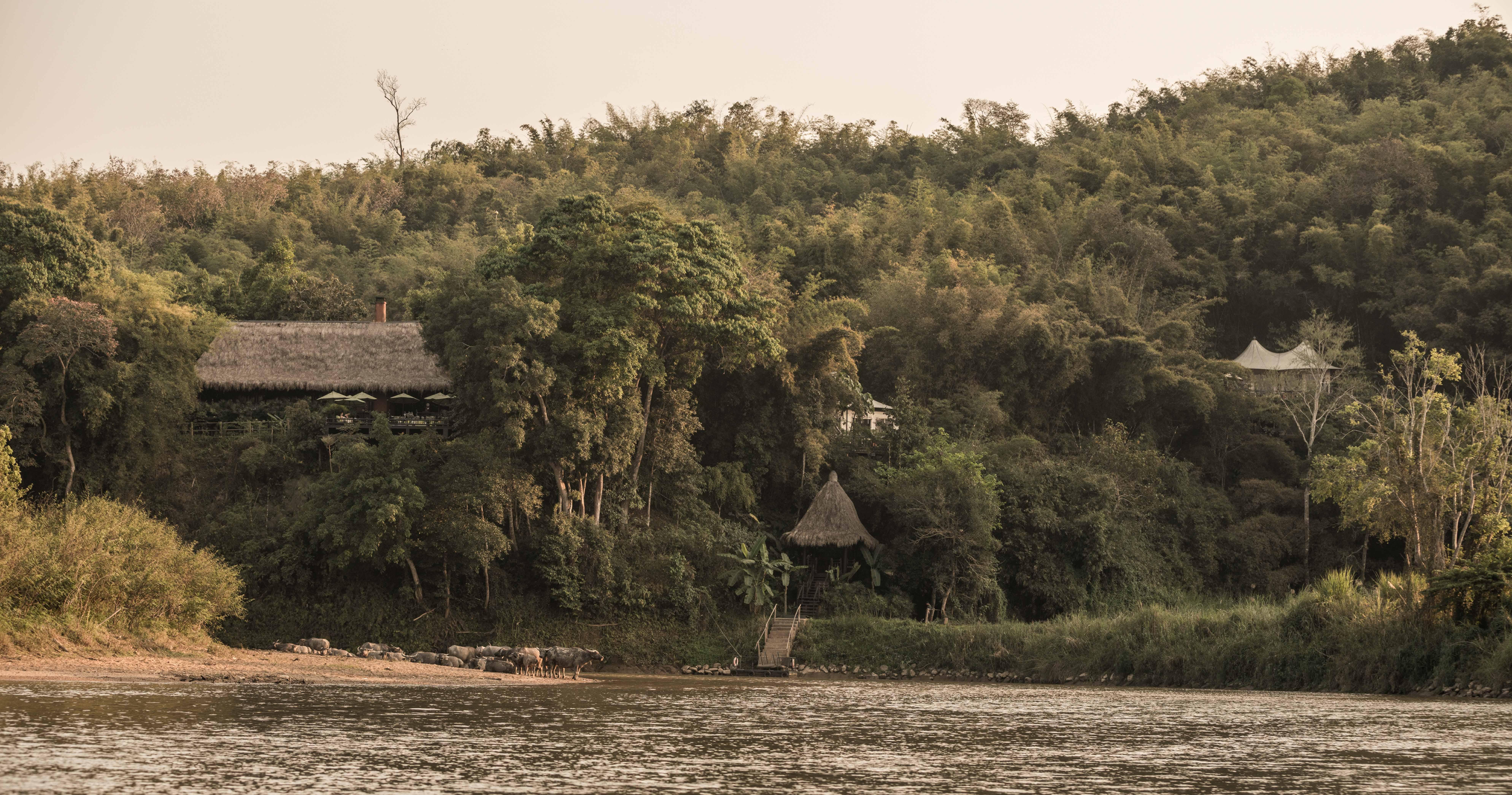 Four Seasons Tented Camp Golden Triangle Exterior photo