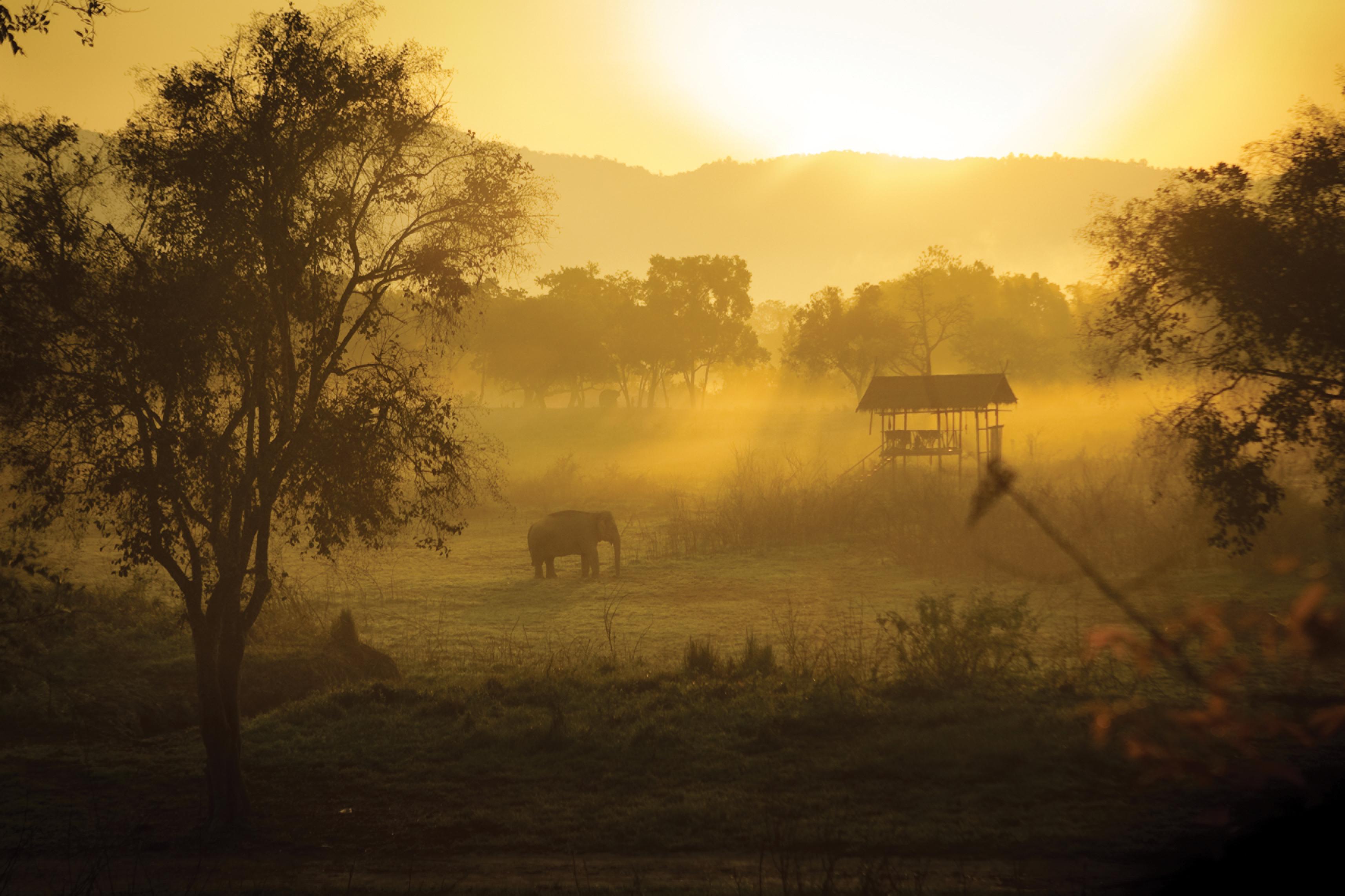 Four Seasons Tented Camp Golden Triangle Exterior photo