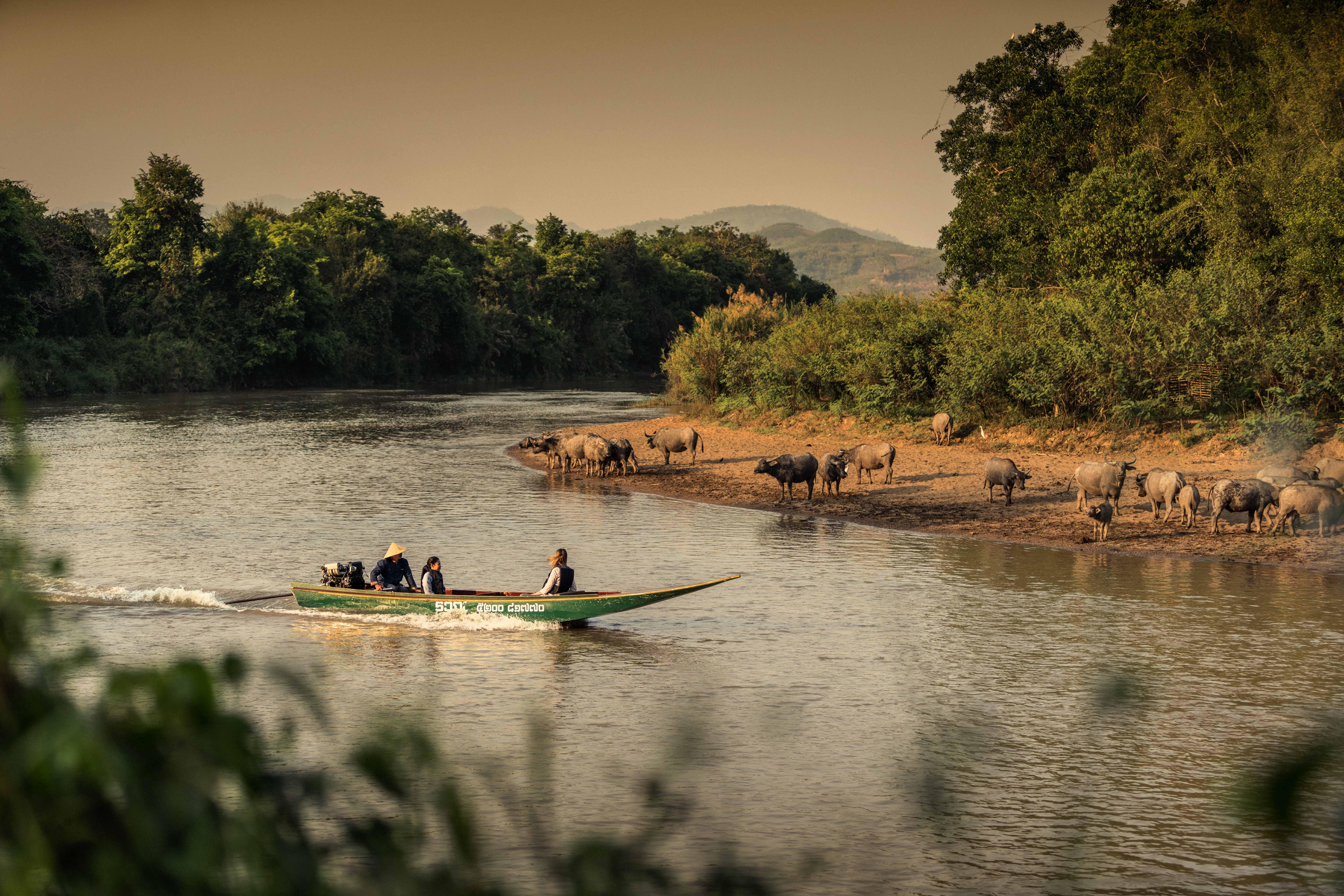 Four Seasons Tented Camp Golden Triangle Exterior photo